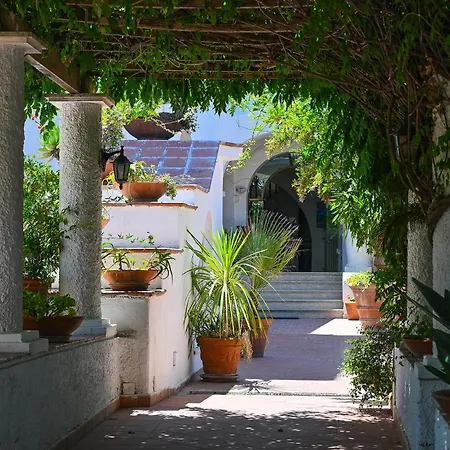 Av Club Terme Colella Hotell Forio di Ischia